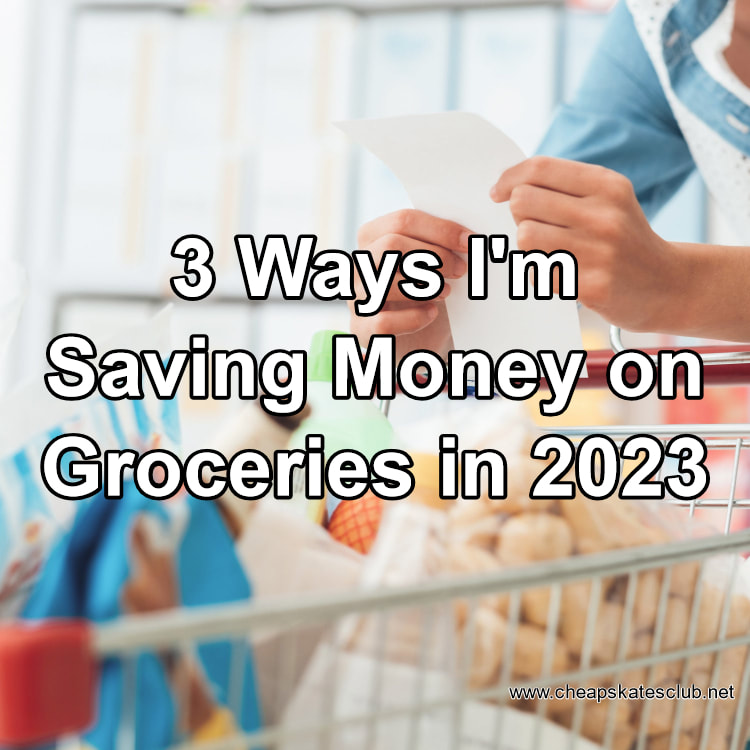 3 Ways I'm Saving Money on Groceries in 2023